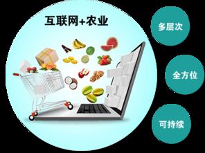 農(nóng)產(chǎn)品觸網(wǎng) 互聯(lián)網(wǎng)時代，誰是下一個超級代言人？